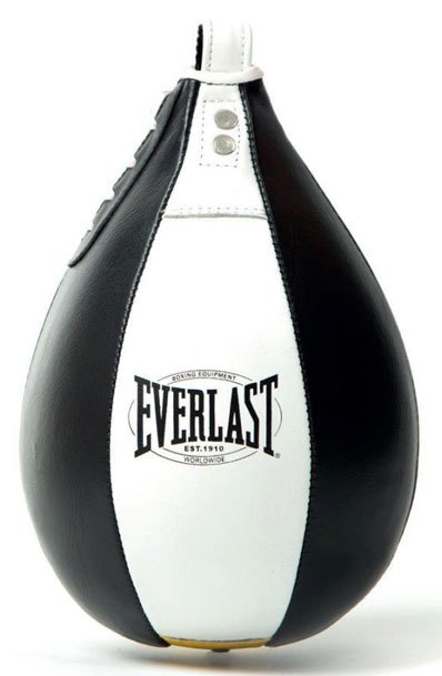 Everlast Speed Bag